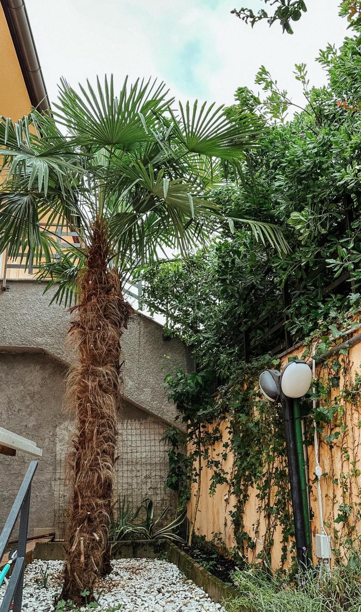 Apartmani Jelena Opatija Zewnętrze zdjęcie